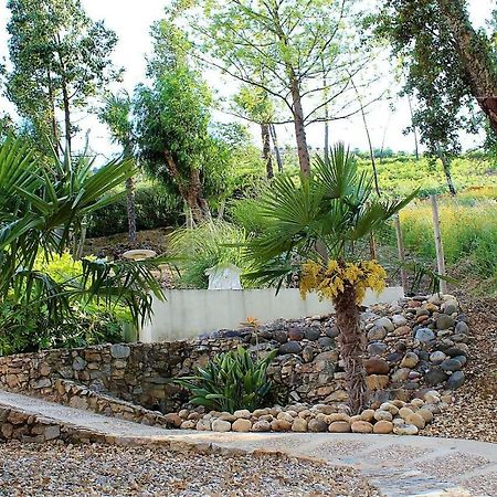 Oak Cottage Ferreira do Zezere Ngoại thất bức ảnh